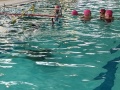 IMG20221117140845