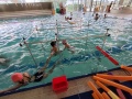 IMG20230203112509
