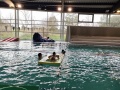 IMG20230203112730