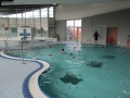 piscine décembre 2017 014