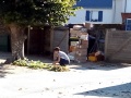 IMG_20190831_102655