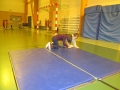 lutte et motricité 2018 065