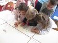Incos-2019-013