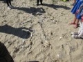 IMG_3739
