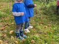 IMG0622