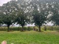 IMG0664
