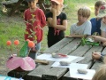 IMG20250613104924