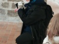 IMG_20220311_094145