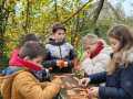 IMG-20231124-WA0011