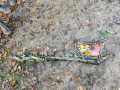 IMG-20231124-WA0014