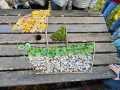 IMG-20231124-WA0022