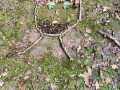 IMG-20231124-WA0027