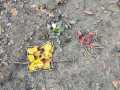 IMG-20231124-WA0028