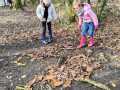 IMG-20231124-WA0033