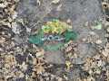 IMG-20231124-WA0034