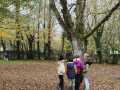 IMG-20231124-WA0052